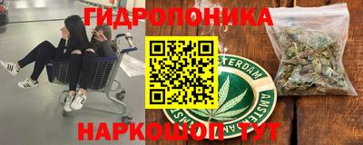 дмт Анапа