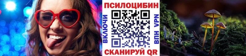 Галлюциногенные грибы Psilocybe где продают сайты даркнета формула Рыбинск
